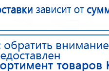 СКЭНАР-1-НТ (исполнение 02.2) Скэнар Оптима купить в Протвино, Аппараты Скэнар купить в Протвино, Дэнас официальный сайт denasdoctor.ru